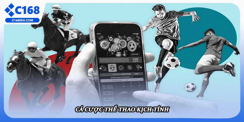 Cá cược thể thao kịch tính