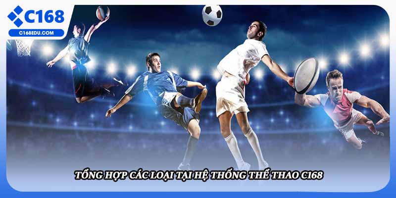 Tổng hợp các loại tại hệ thống thể thao C168